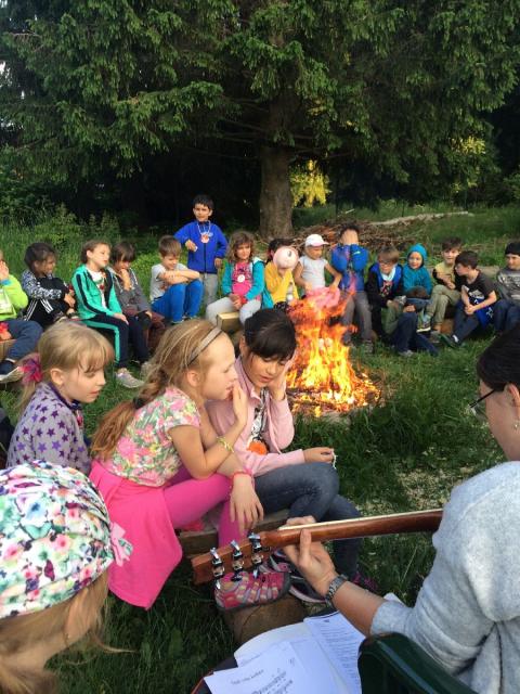 image259