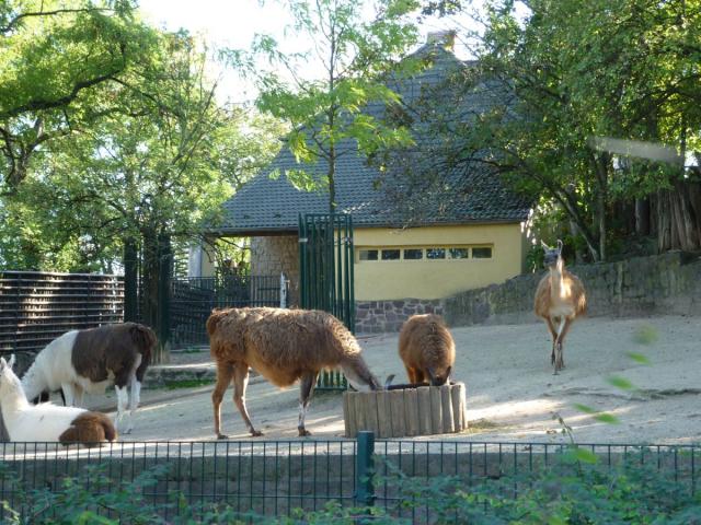 image058