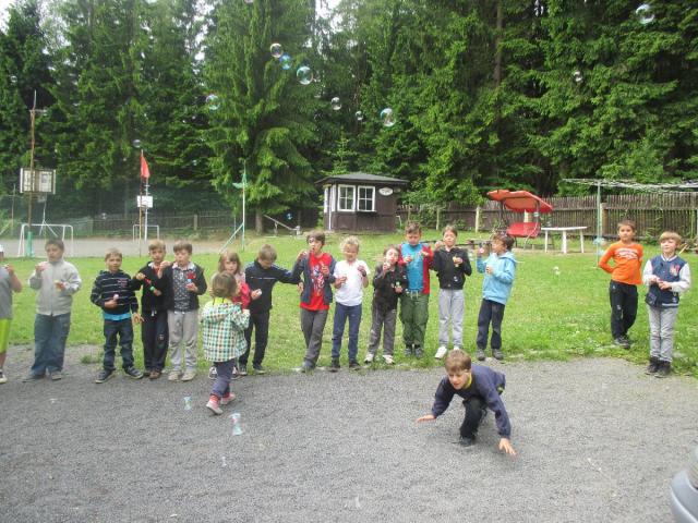 IMG 0587